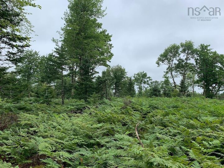 Property Photo:  Lot 3 Pleasant River Preserve  NS B0T 1X0 