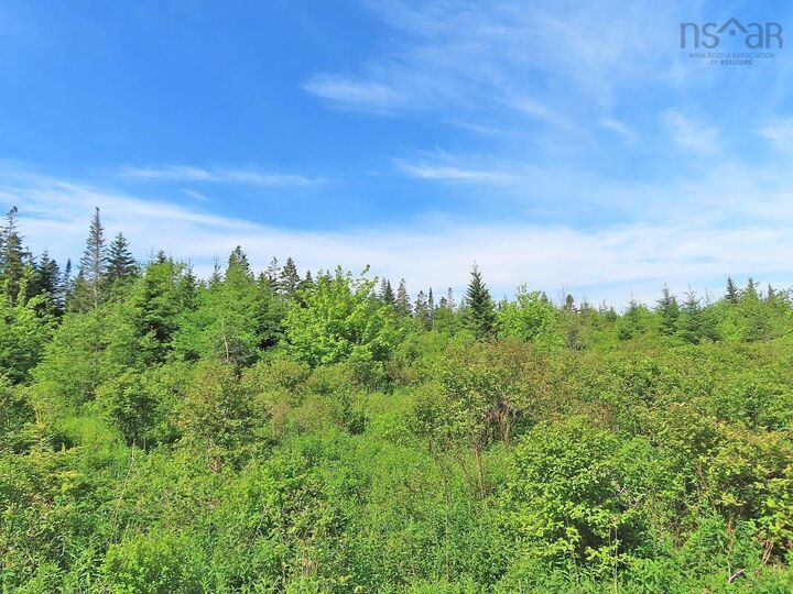 Property Photo:  Lot 2 Old Trunk 4 Highway  NS B0E 3B0 