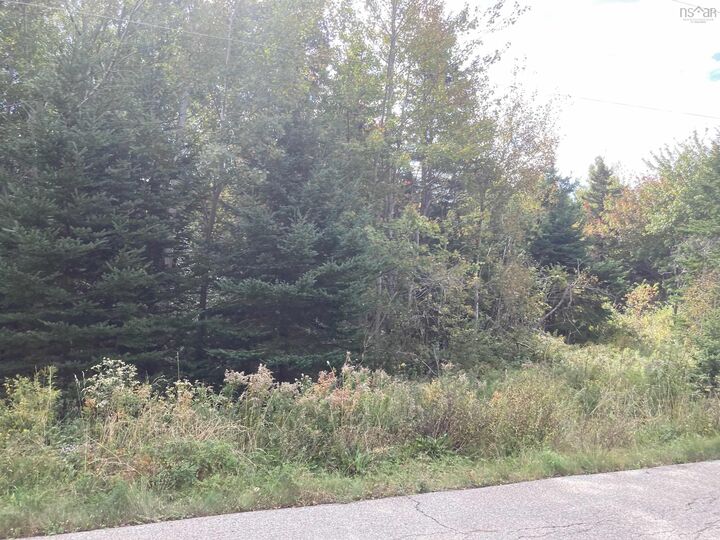 Property Photo:  Frankville Rd.  NS B0H 1P0 
