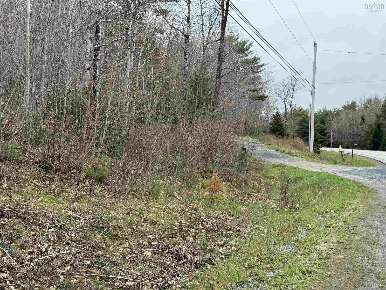 Property Photo:  Lot 5 Highway 10  NS B0R 1E0 