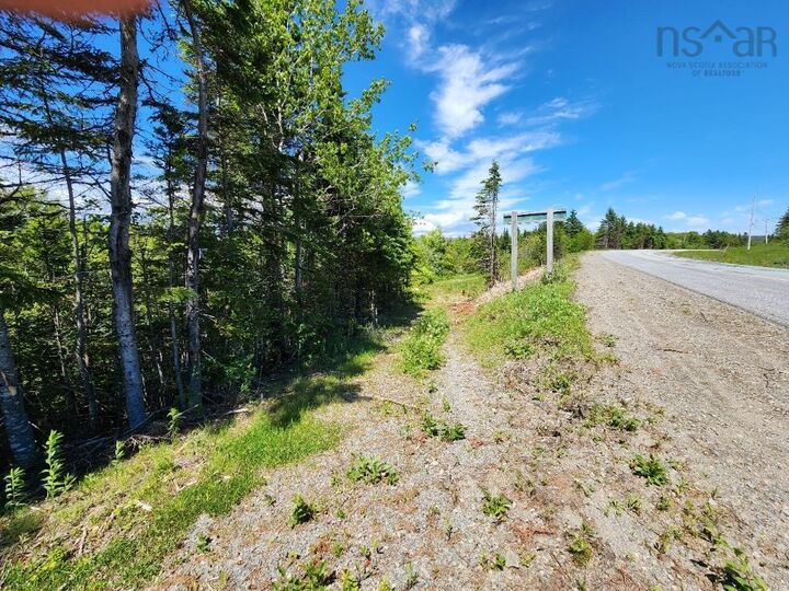Larrys River Road — photo 1