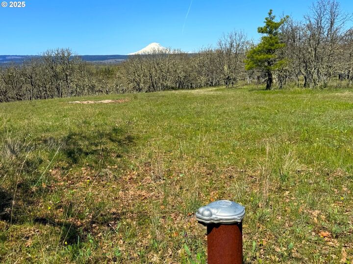 Property Photo:  Off Centerville Hwy 3  WA 98635 