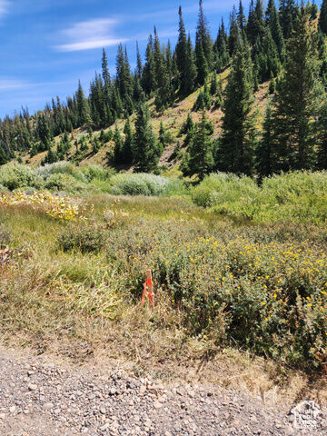 Property Photo: 77 Brooks Cyn 77 E UT 84629