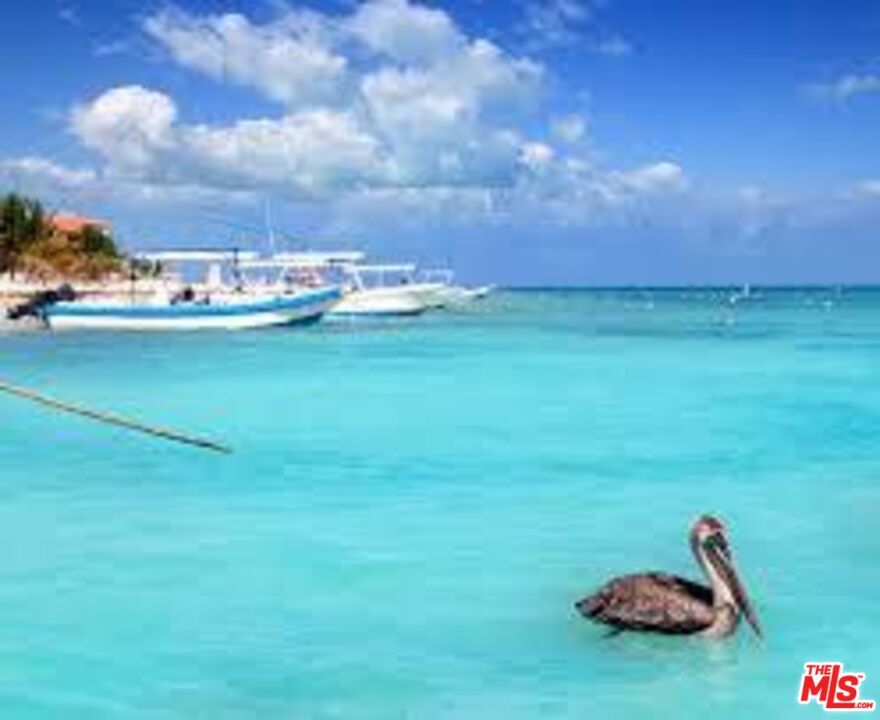 Property Photo: 0 Puerto Morelos, Quintana Roo, Cancun Mexico XX 0