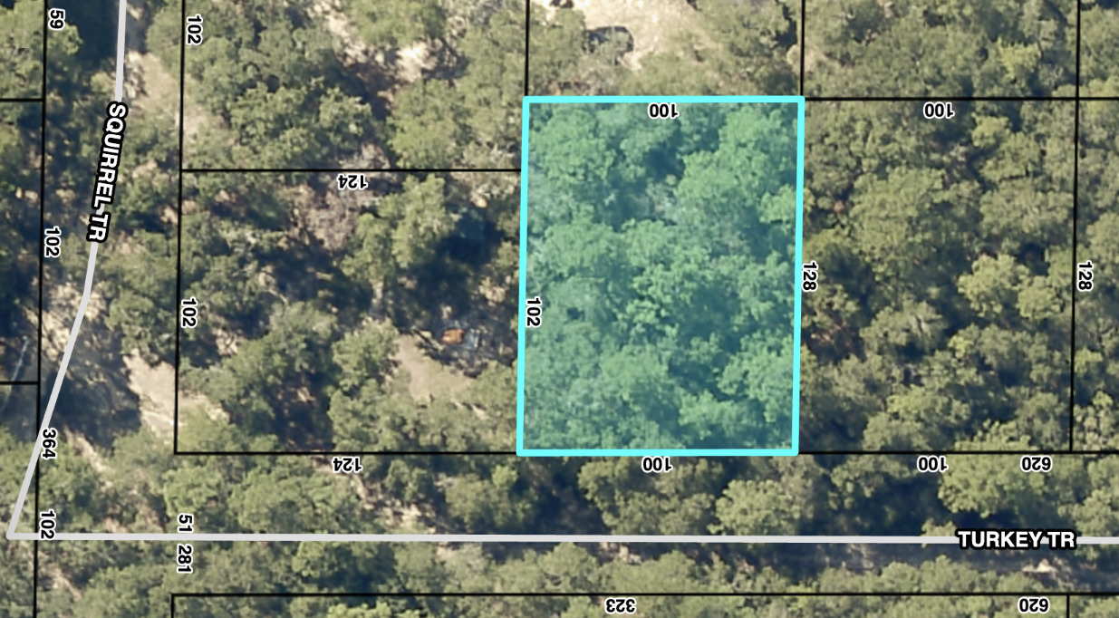Property Photo: Tbd Turkey Trail FL 32583