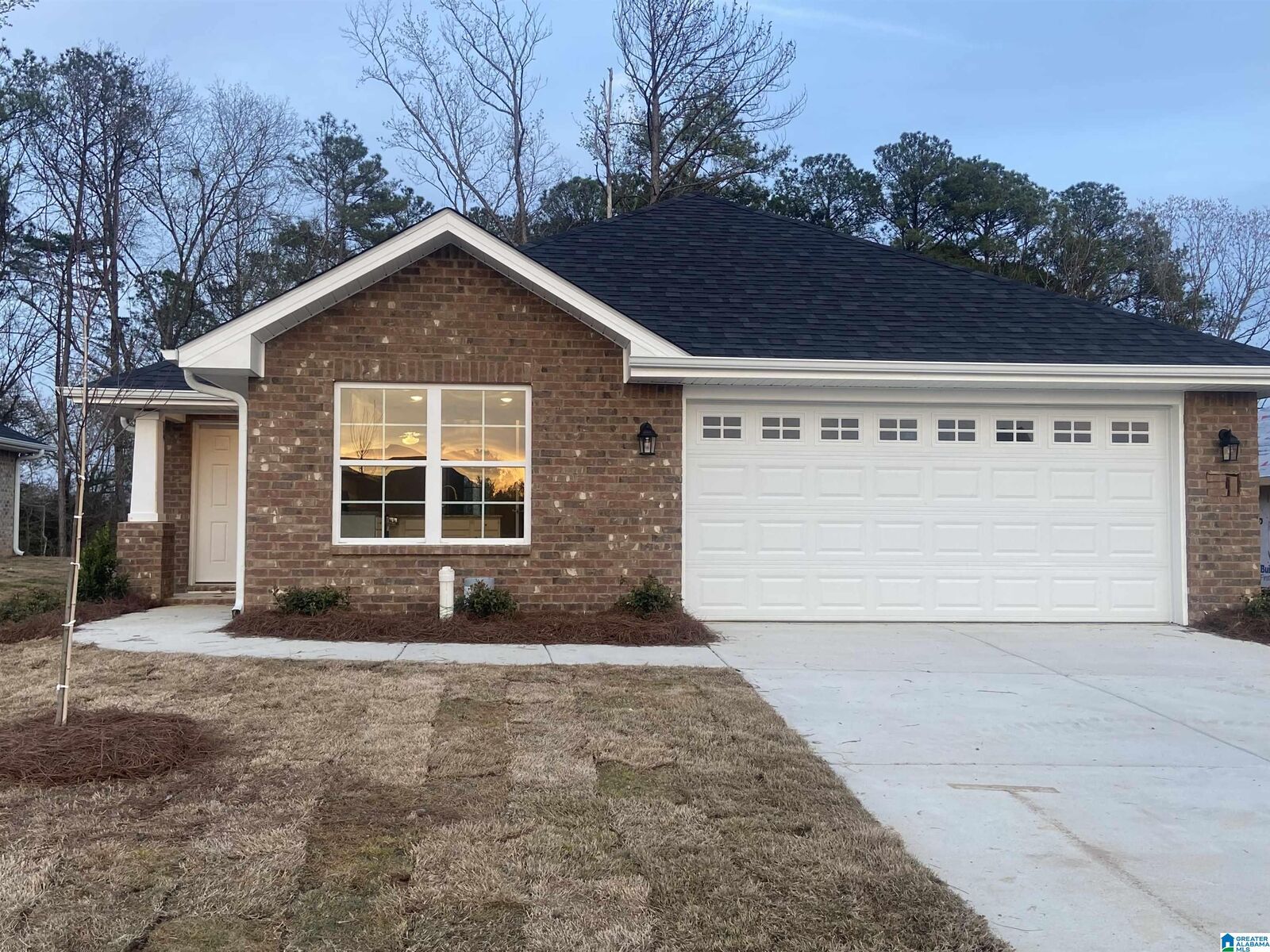Property Photo:  2027 Turquoise Lane  AL 35040 