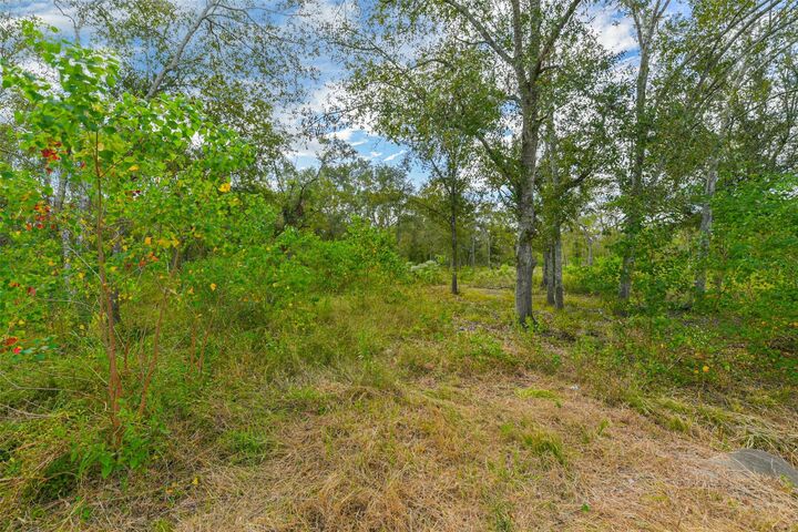 Property Photo: 0 Live Oak St TX 77430