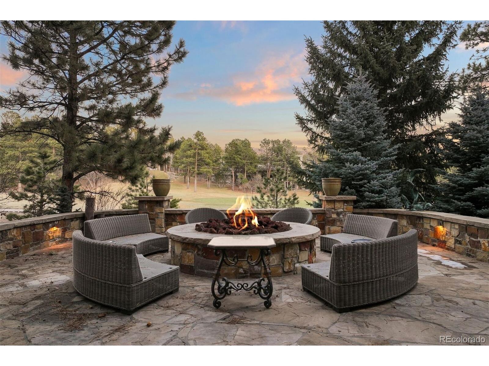 Property Photo: 77 Comstock Pl CO 80108