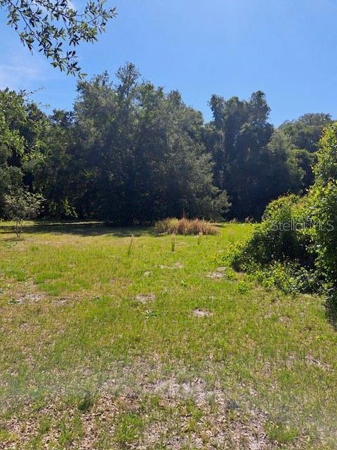 Property Photo:  SE Parcel Id # N15-181 Terrace  FL 33513 