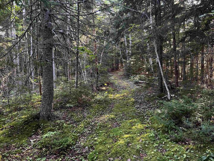 Property Photo:  Unit 3 Forsythe Road South Road  NS B4P 2R2 