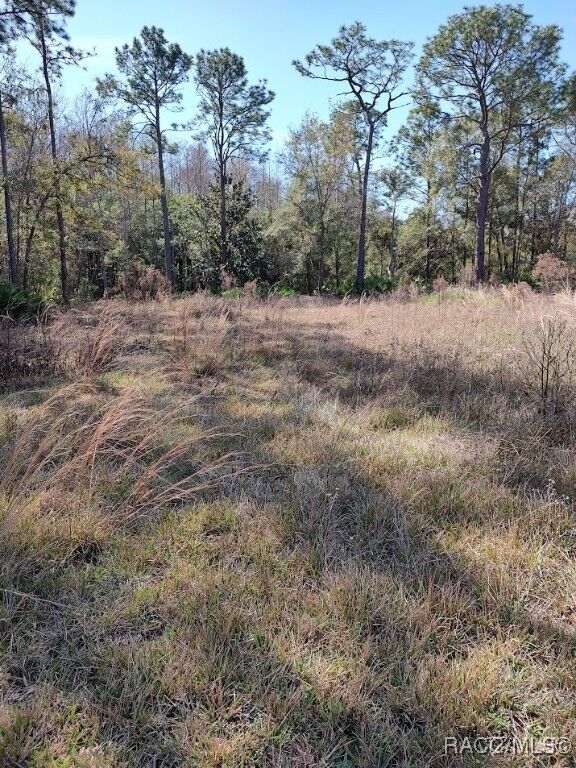 Property Photo: 7636 Narcissus Lane FL 34448