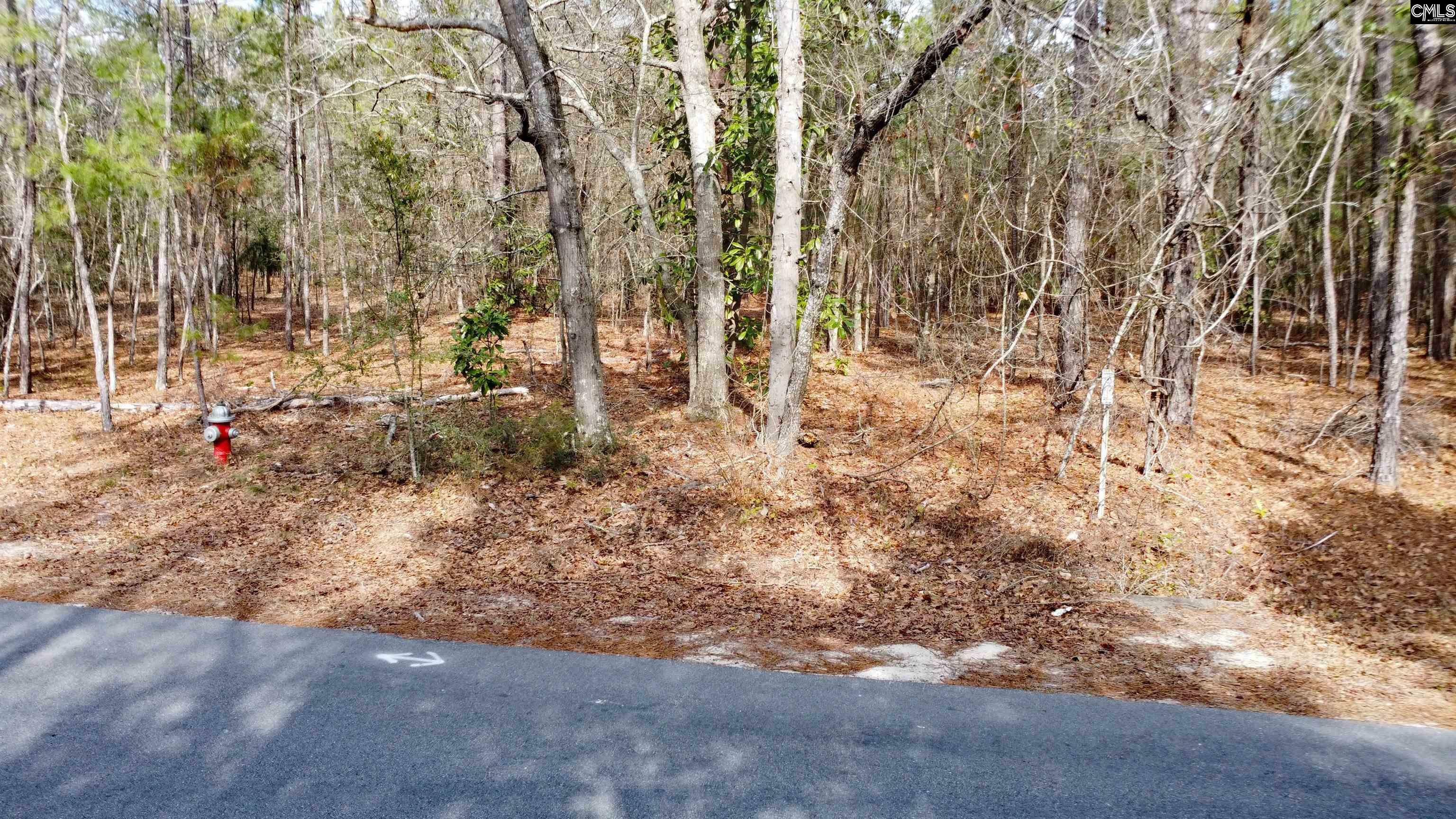 Property Photo:  Timberline Dr Lot B  SC 29020 