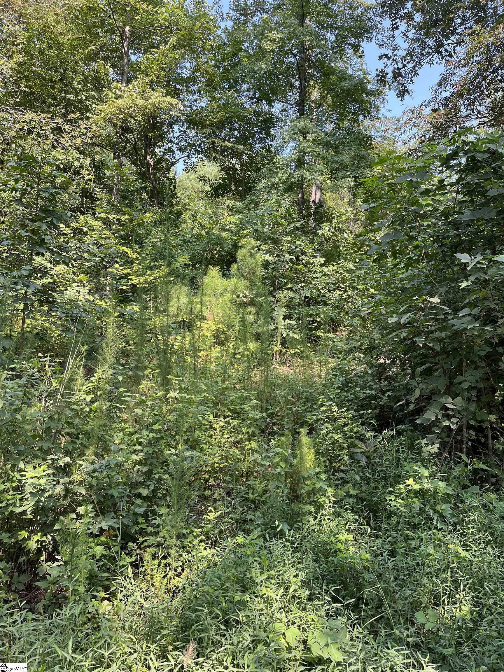 Property Photo:  0 Riverbend Road Lot 61  SC 29643 