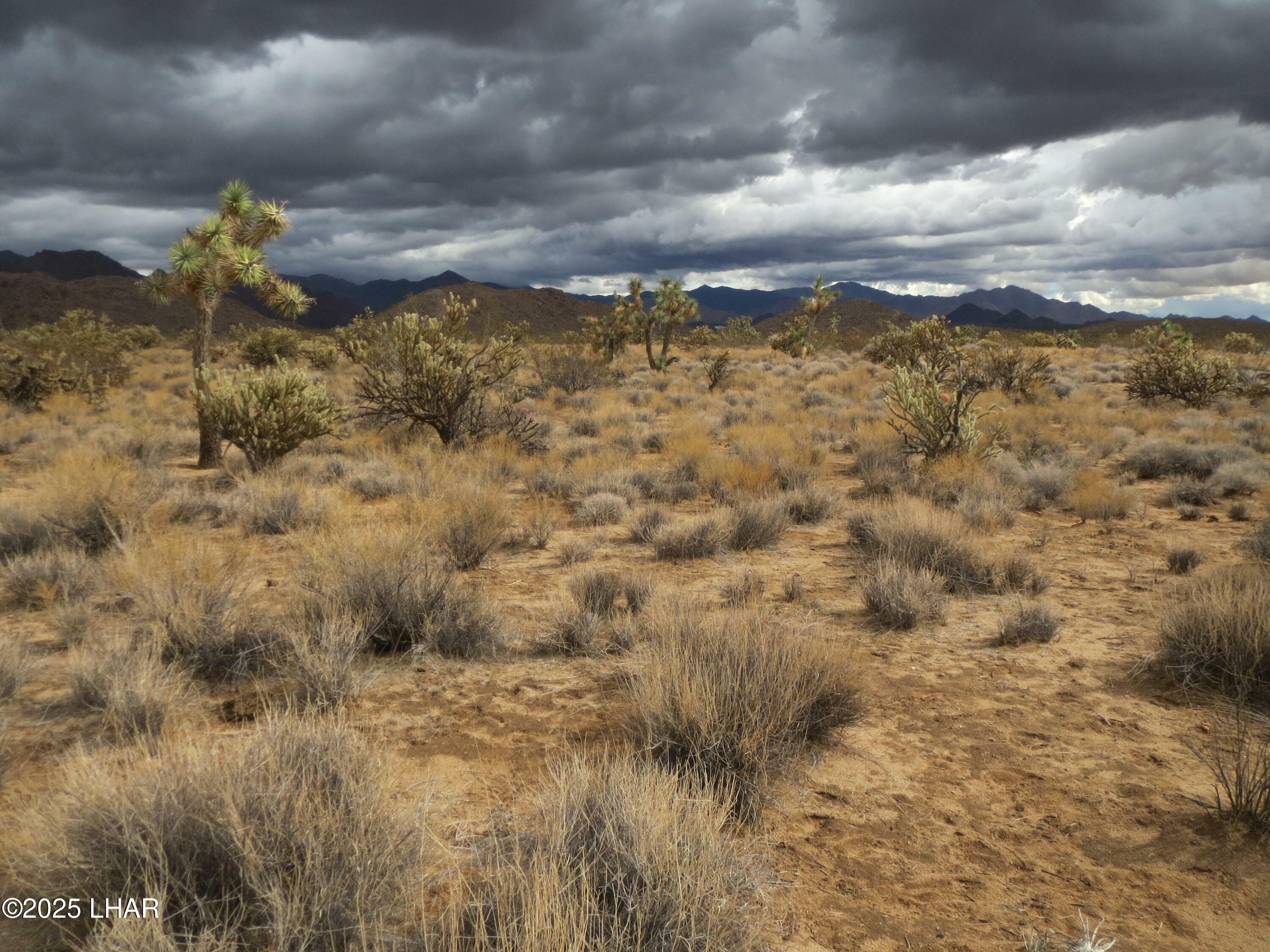 Property Photo: 11844 S Desert View Rd AZ 86438