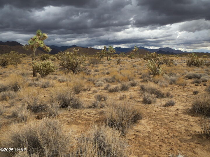 Property Photo: 11844 S Desert View Rd AZ 86438
