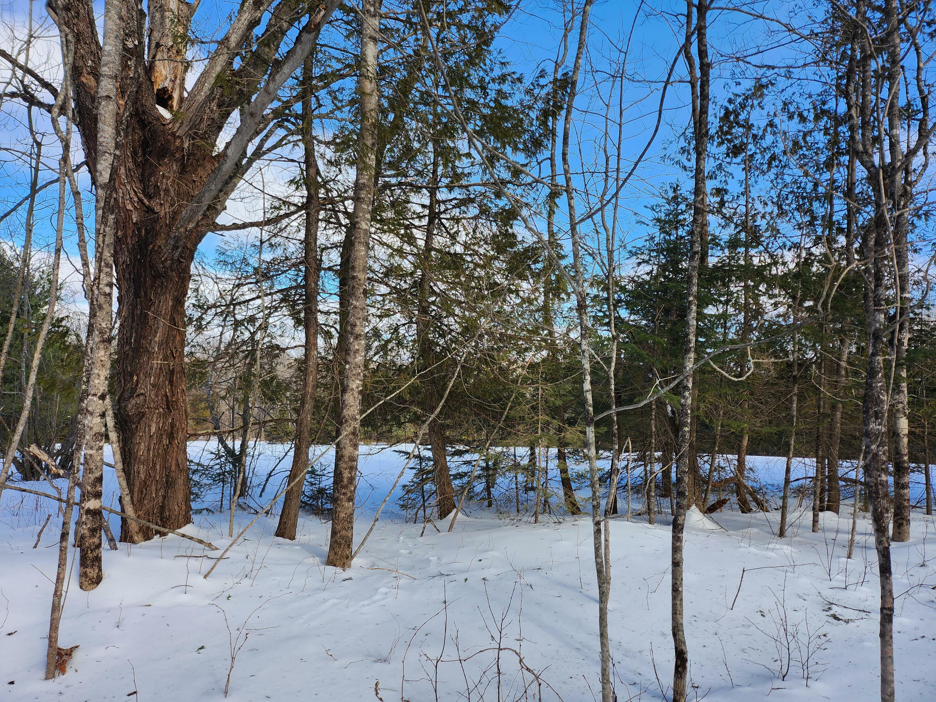 Property Photo:  Lot 49-1 Dunn Road  ME 04930 