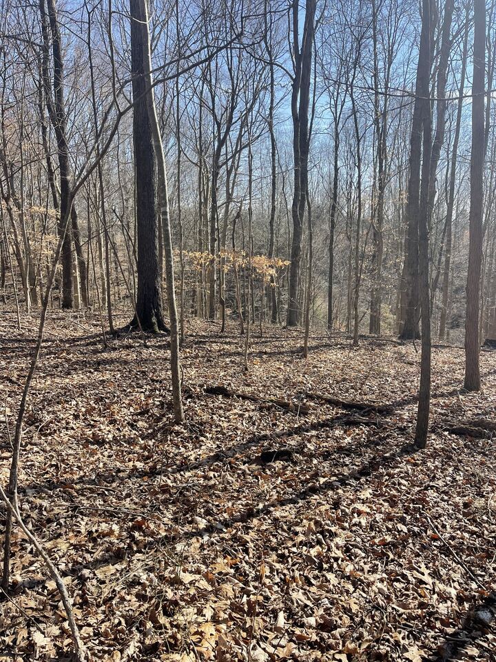 Property Photo:  165 Pleasant Hill Road  TN 37083 