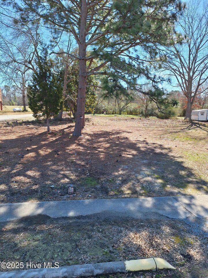 Property Photo: Tbd Roberts Road NC 27869