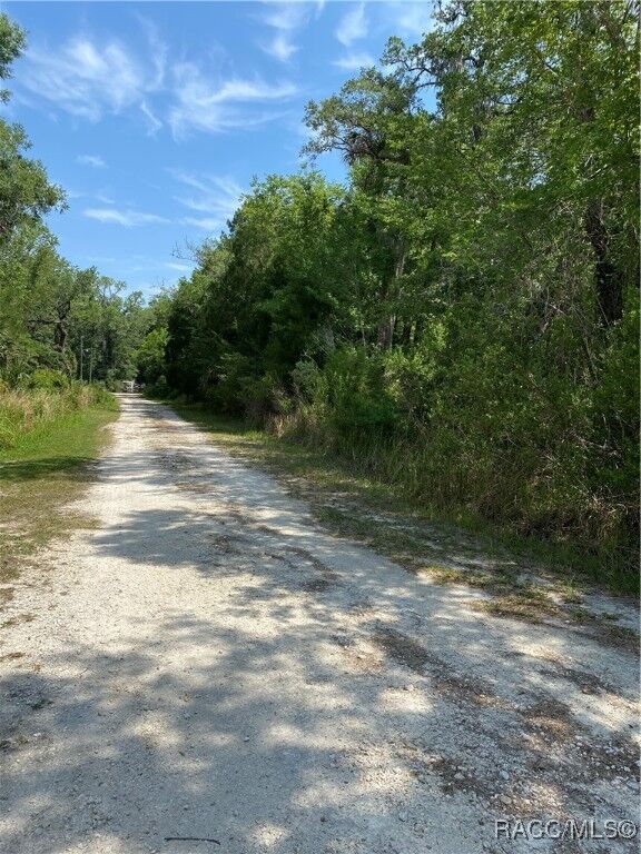 Property Photo:  545 S Winterset Avenue  FL 34429 