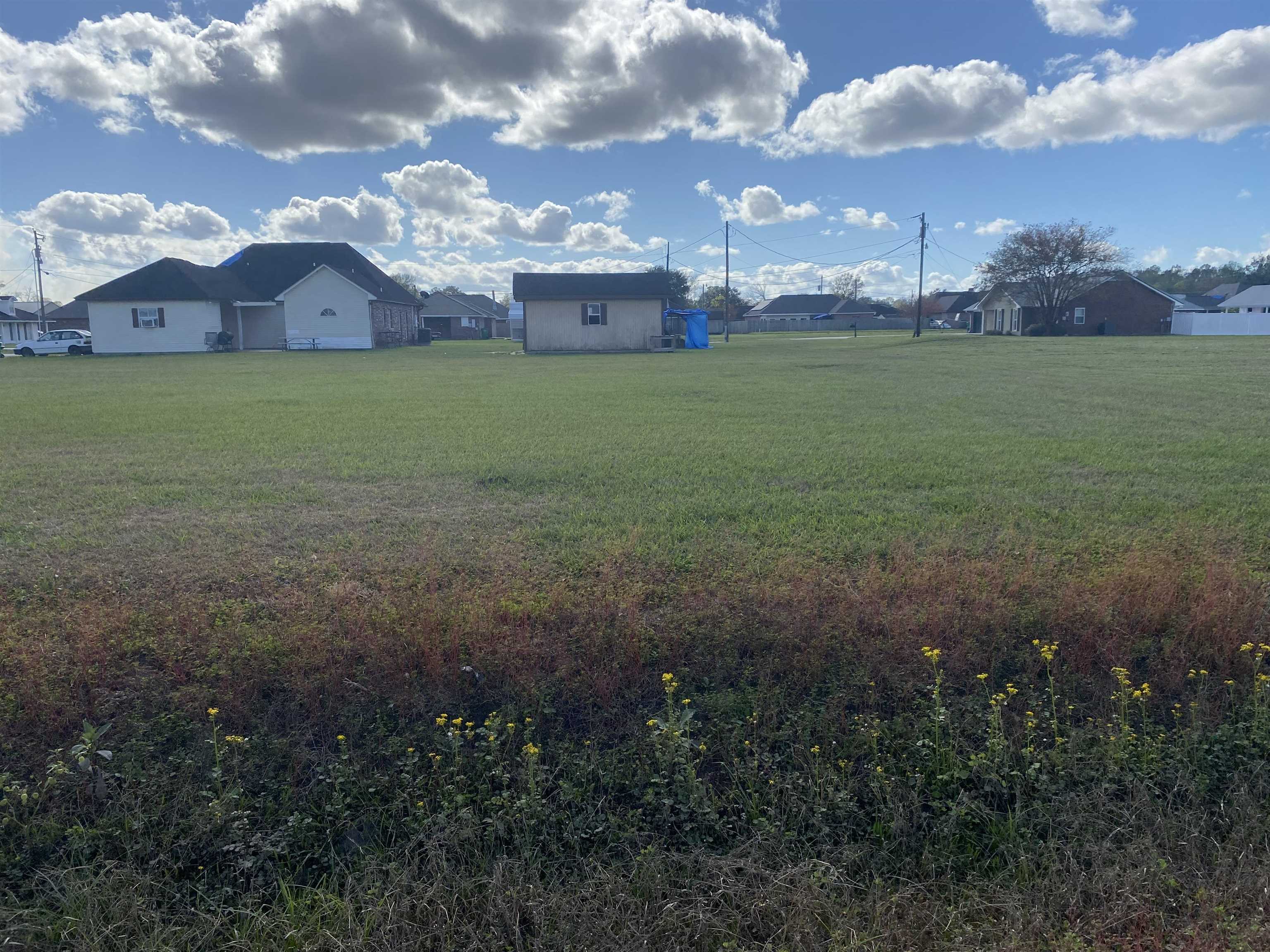 Property Photo:  Lot 13 Roy St  LA 70393 