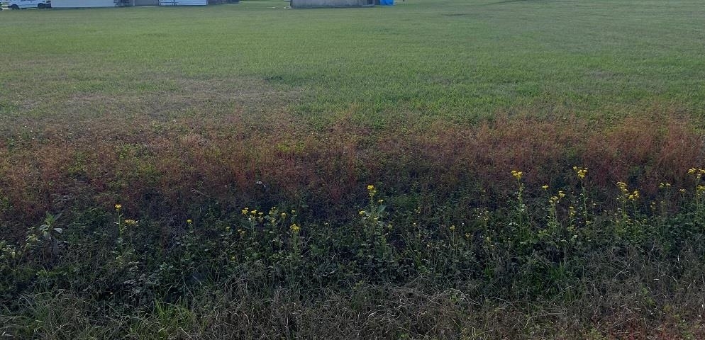 Property Photo: Lot 13 Roy St LA 70393