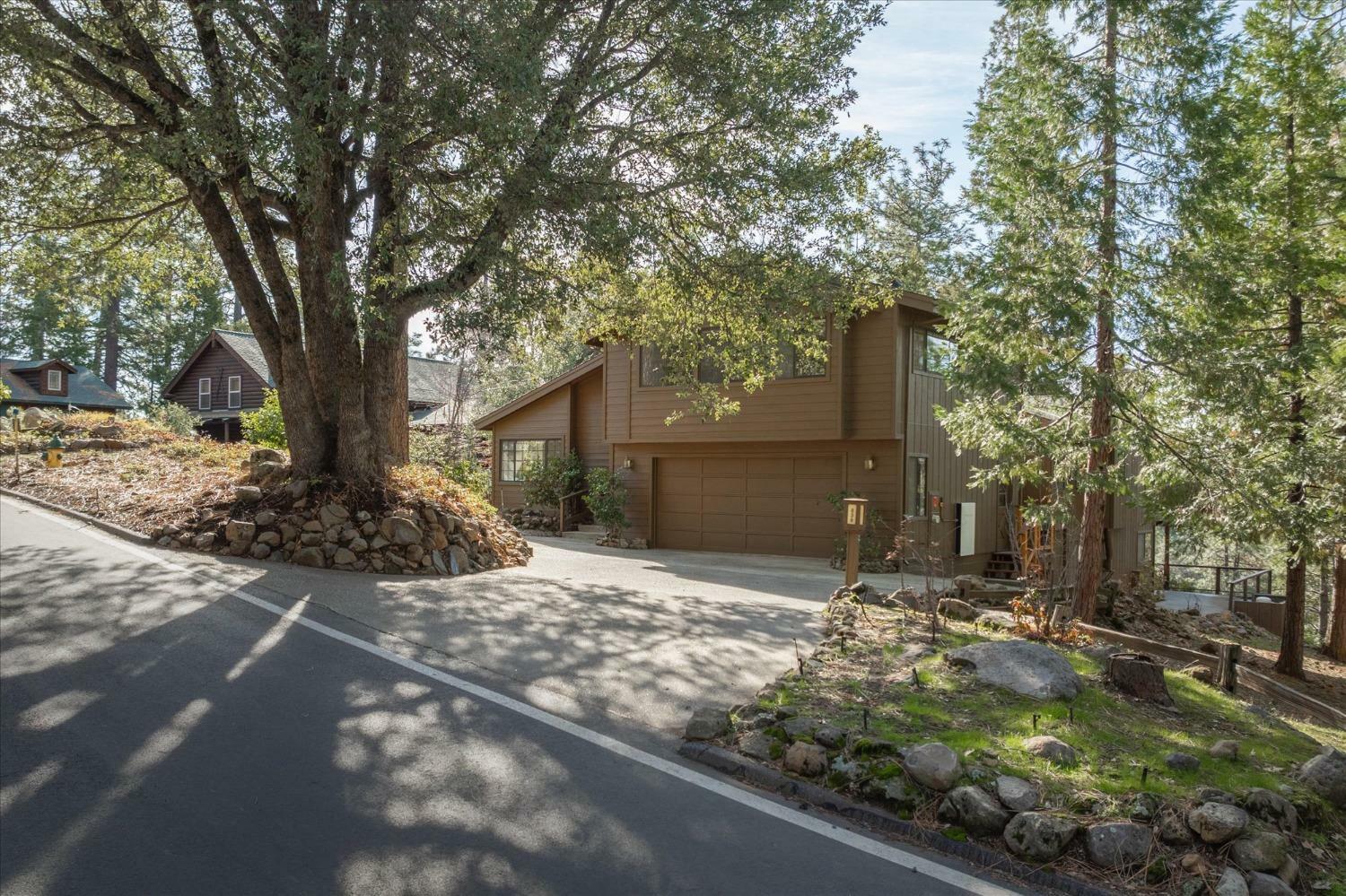 839 Forest Meadows Drive  Murphys CA 95247 photo