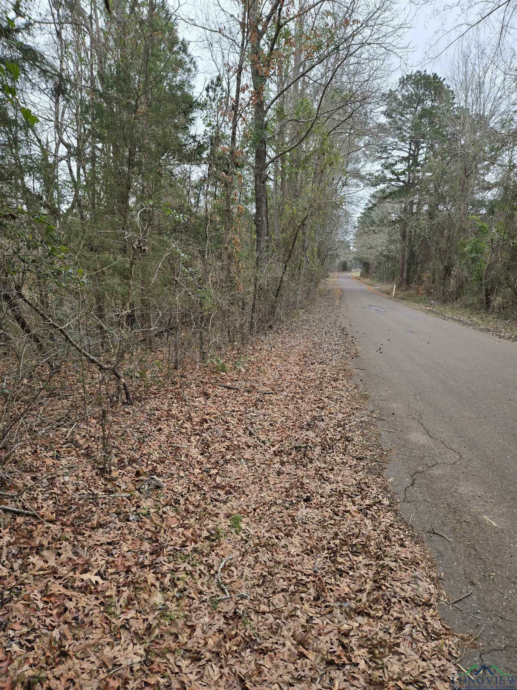 Property Photo:  0000 Cr 3206 (23.91ac)  TX 75667 