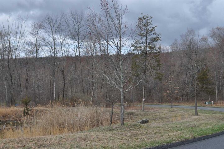 Property Photo:  Stonecrest Lot #9 Court  NY 12533 