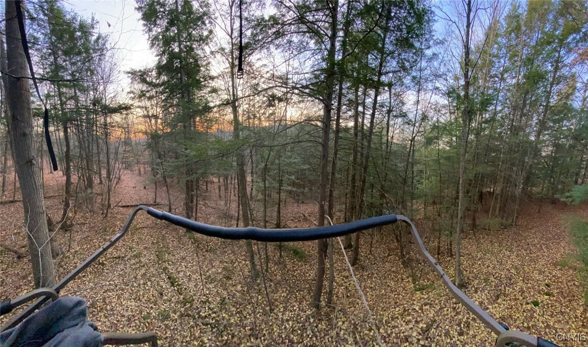 Property Photo: 580 Honey Hollow Road NY 13865