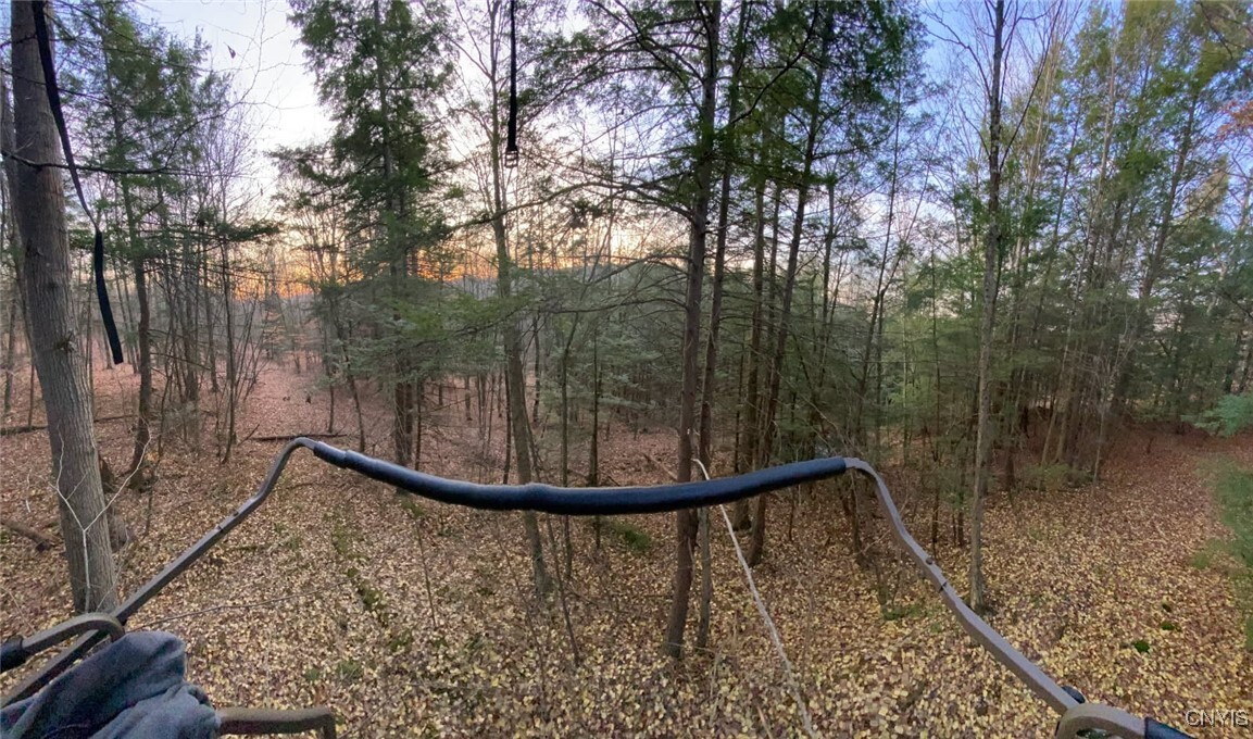 Property Photo: 580 Honey Hollow Road NY 13865