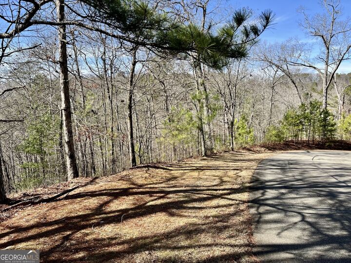 Tt 105 Tumbling Waters Lane  Ellijay GA 30540 photo