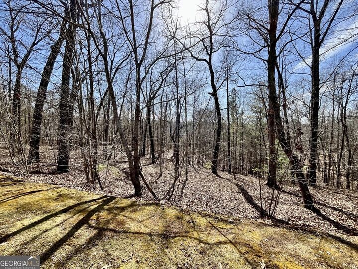 Lt 129 Harris Creek Drive  Ellijay GA 30540 photo