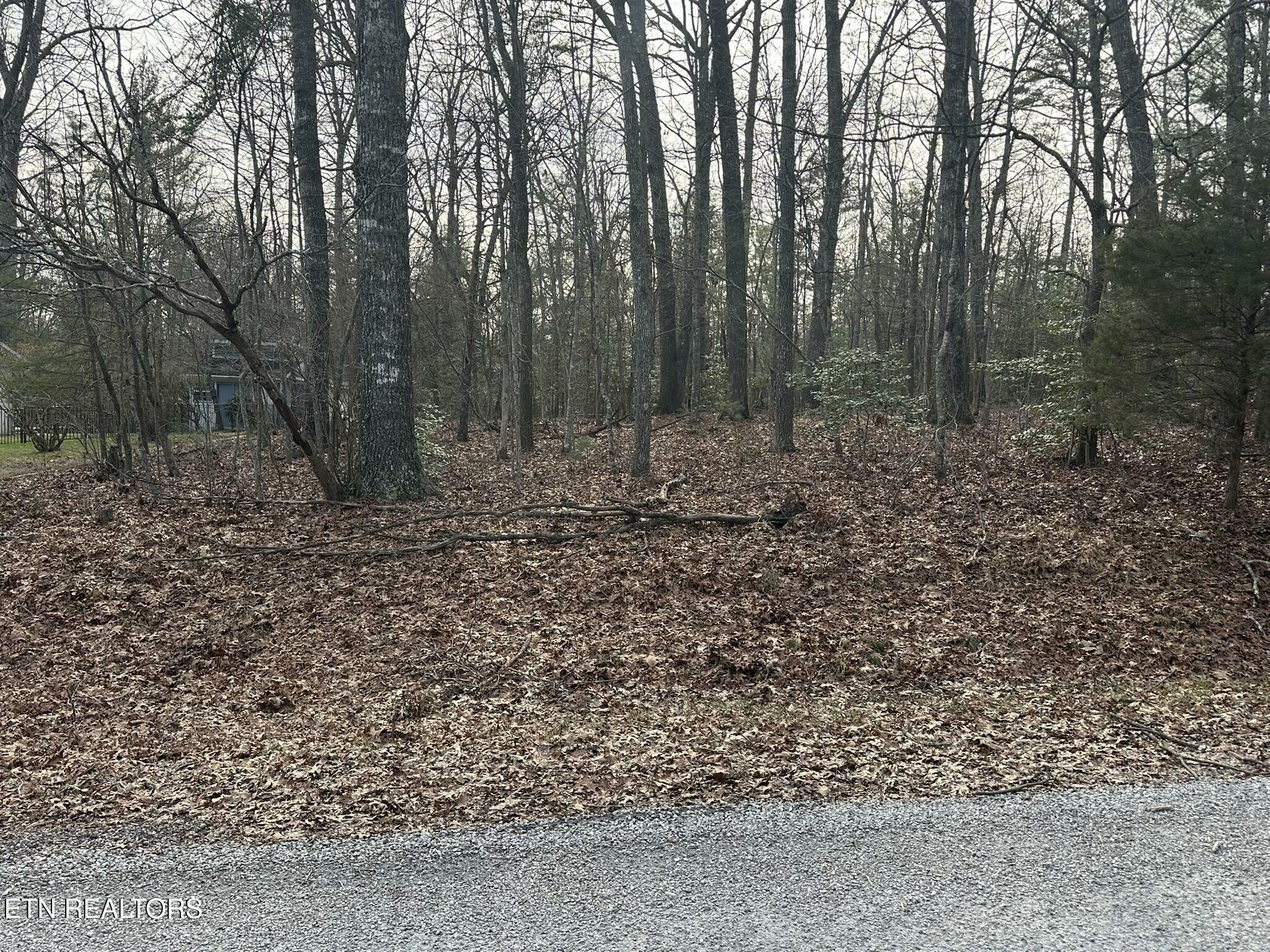 Property Photo:  460 Beachwood Drive  TN 38558 