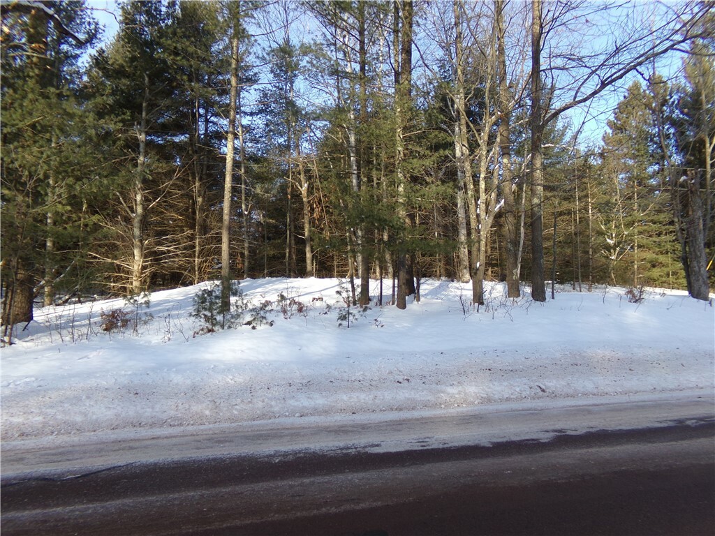 Property Photo: Tbd S County Rd F WI 54849