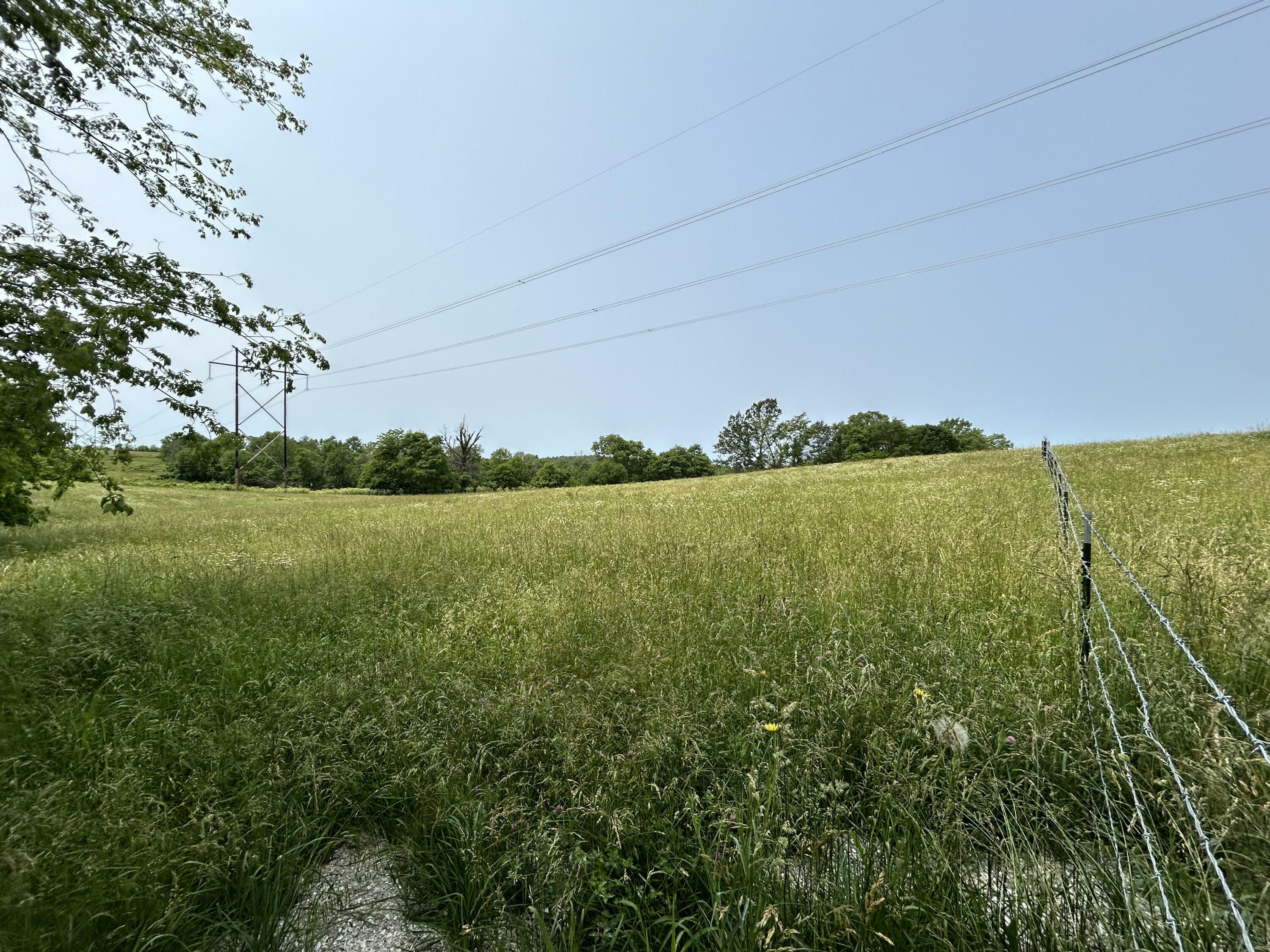 Property Photo:  Lot 2 S Farm Rd 83  MO 65802 