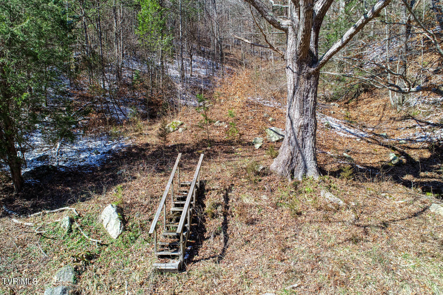 Property Photo:  Tbd Grassy Creek Road  TN 37857 