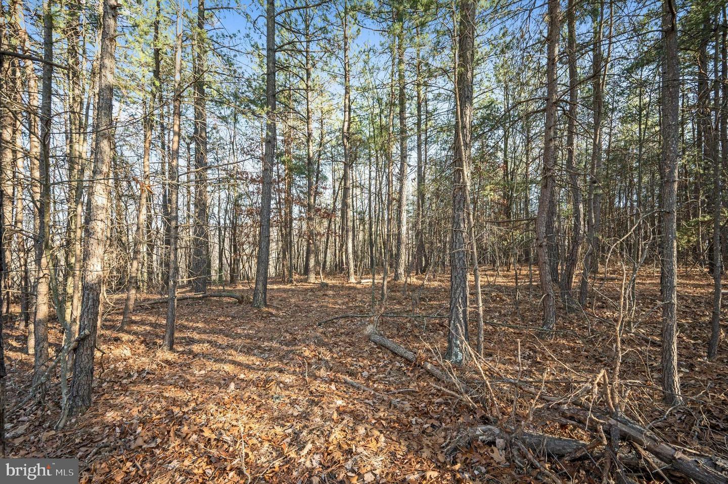 Property Photo:  Lot 5 Back Creek Rd  VA 22637 