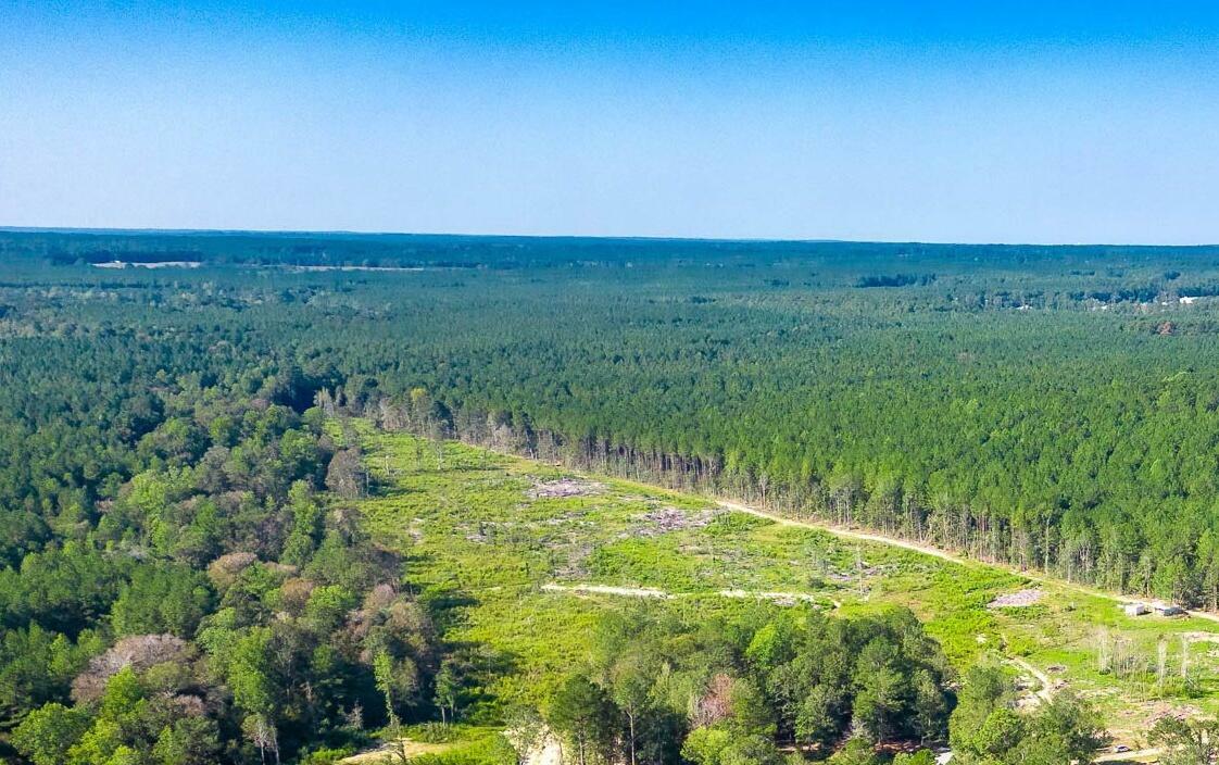 Property Photo: 000 Todd Rd. MS 39482