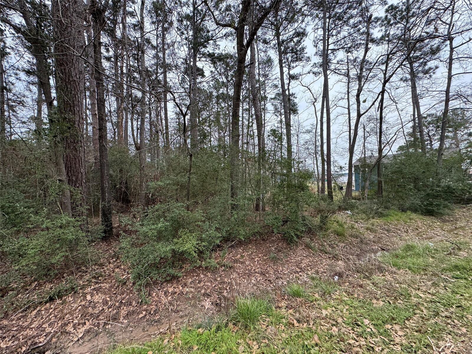 Property Photo: Lot 105 Whisperwood Drive TX 77360