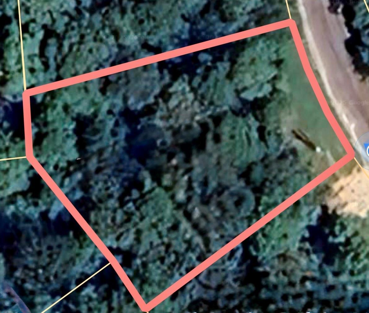 Property Photo: Lot 93 Whisperwood Drive TX 77360