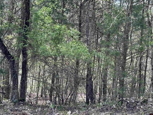 Property Photo:  Dovewood Lane  AR 72634 