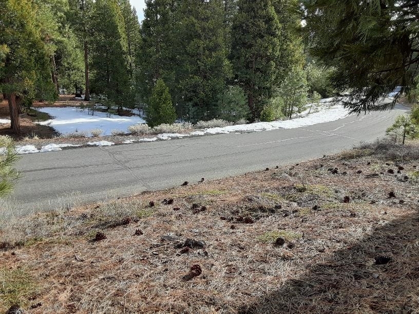 Property Photo:  288 Arrowleaf Road  CA 96122 