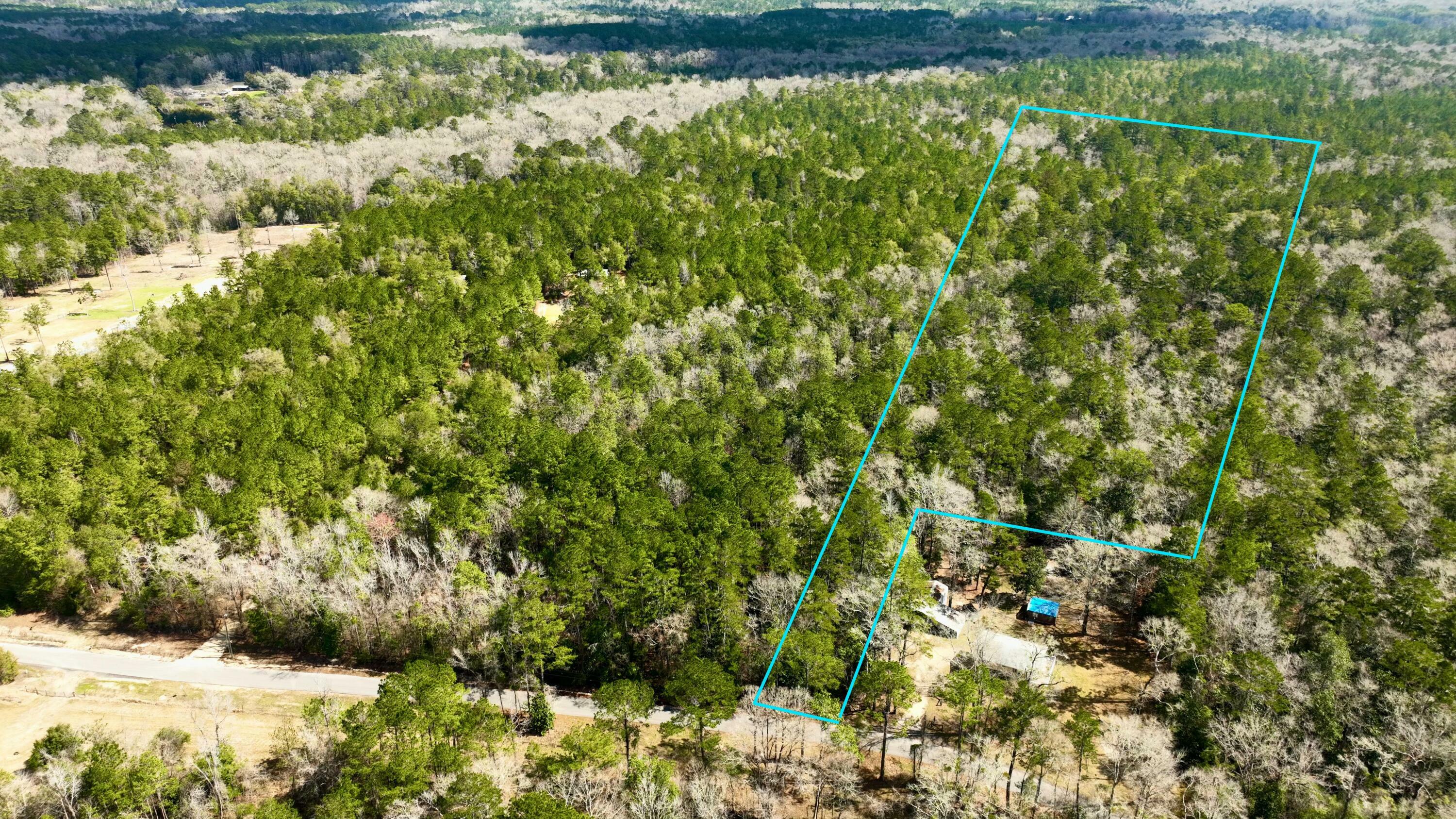 Property Photo:  Tbd White Creek Road  FL 32455 