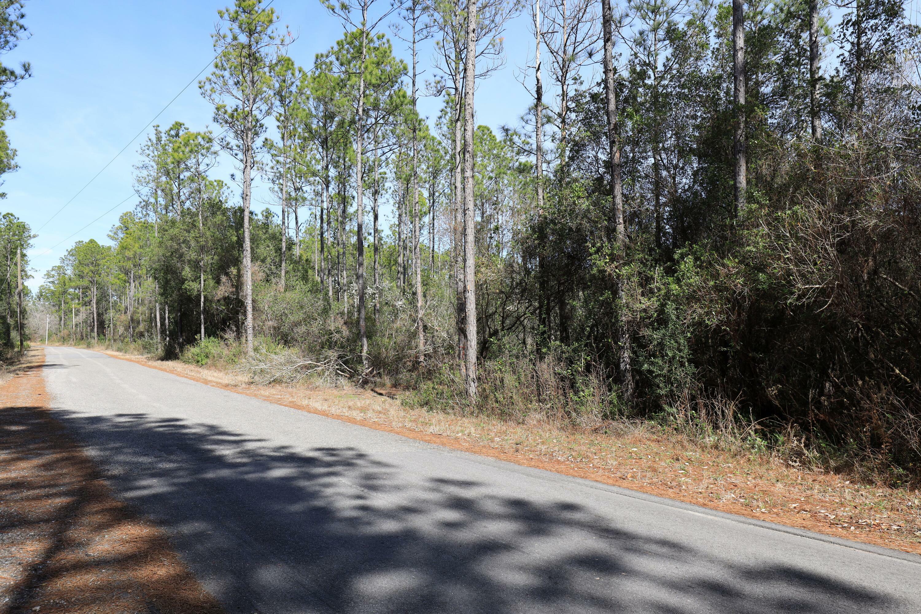 Property Photo:  3 Acres Antioch Cemetery Road  FL 32455 