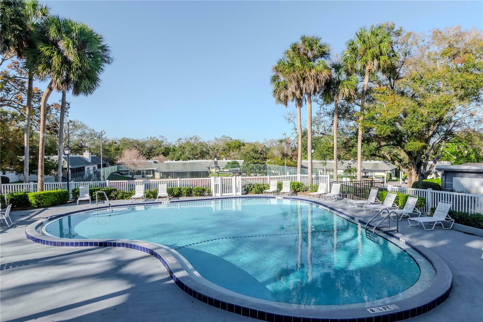 Property Photo: 1321 N McMullen Booth Road 1321 FL 33759