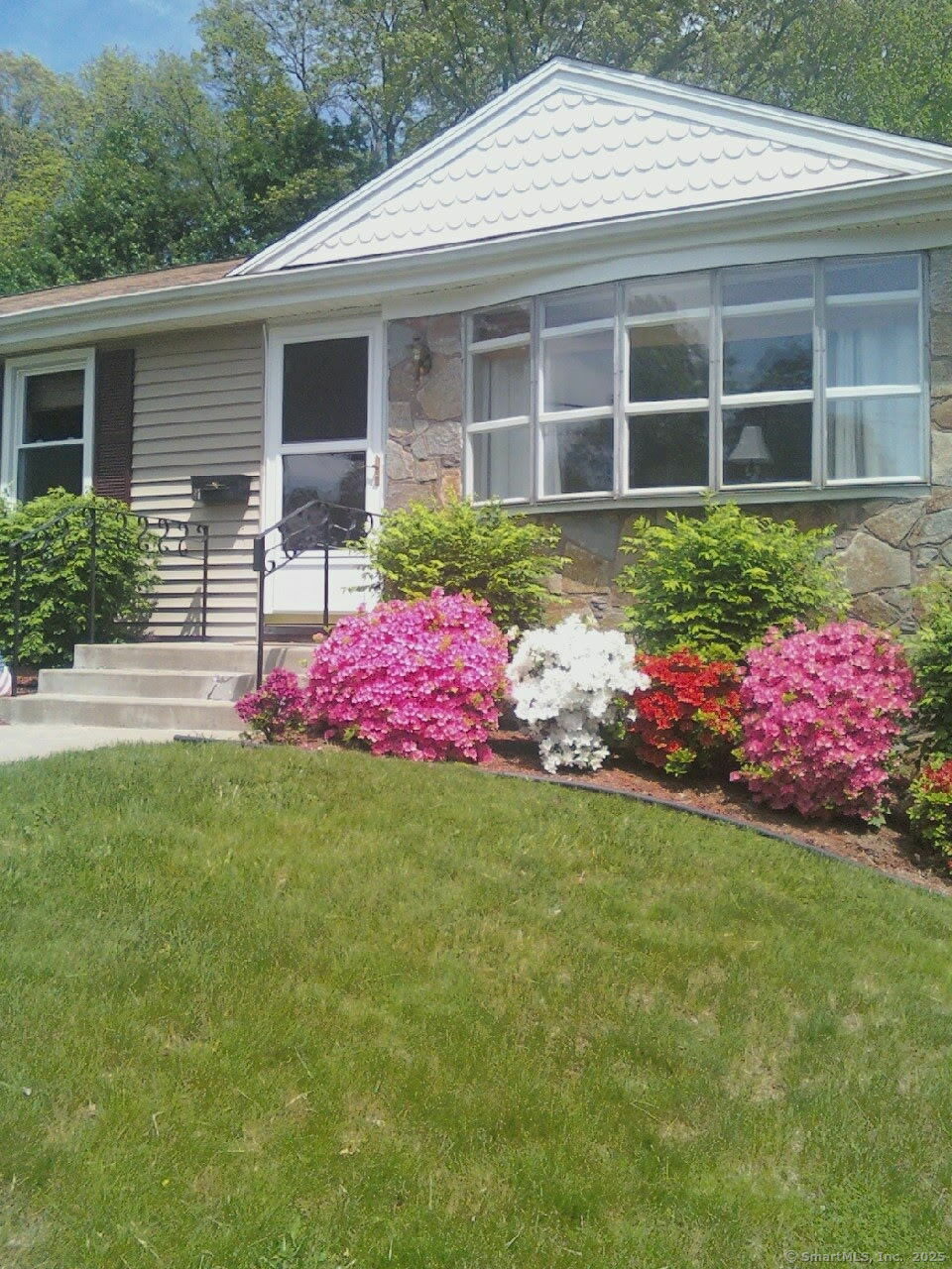Property Photo: 31 Fox Hill Drive CT 06066