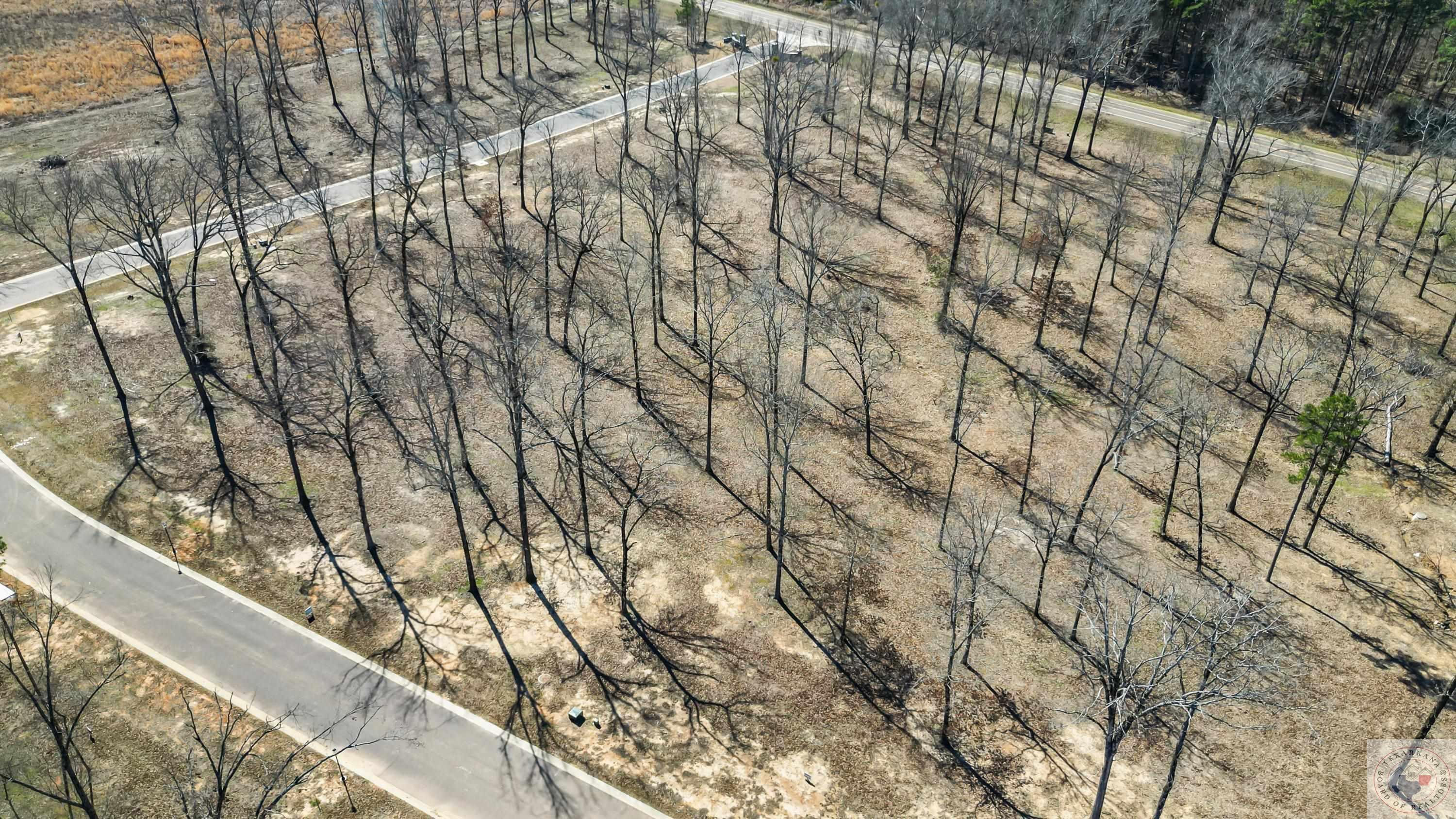 Property Photo: 6207 River Birch Way AR 71854