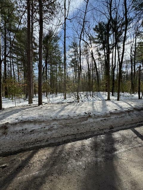 Chippewa Beach Road  Indian River MI 49749 photo