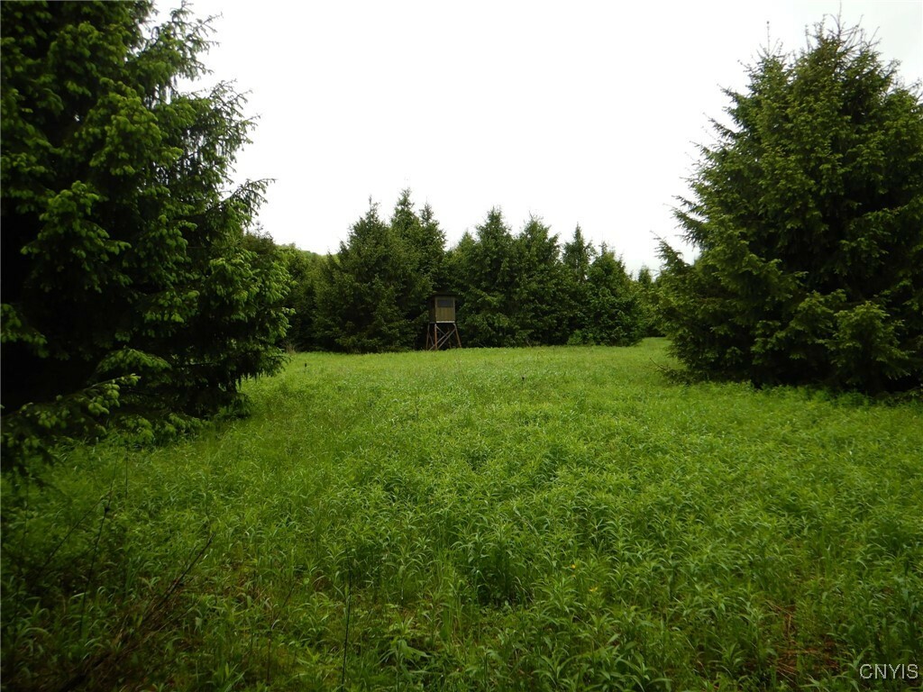 Property Photo: Cheningo Solon Pond Road NY 13040