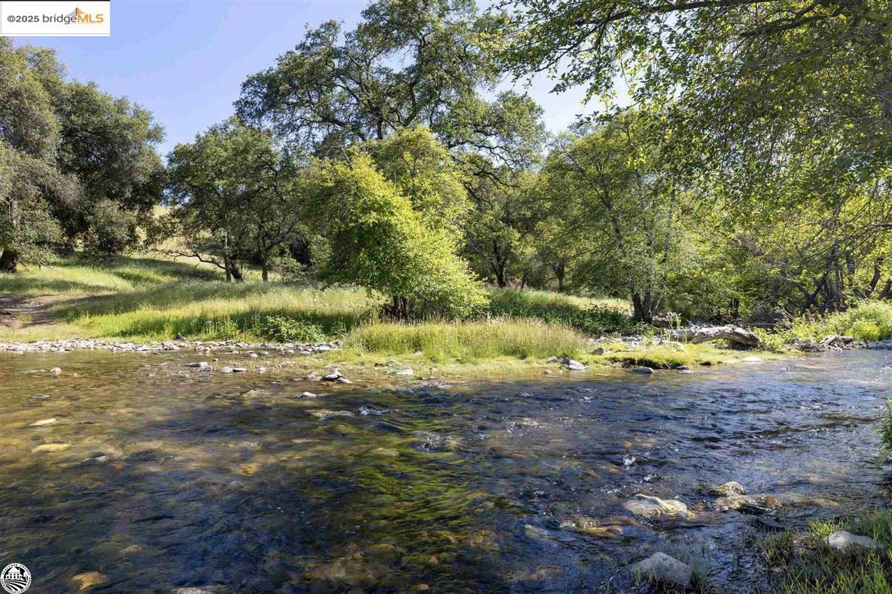 Property Photo: 11391 Algerine Rd. CA 95327